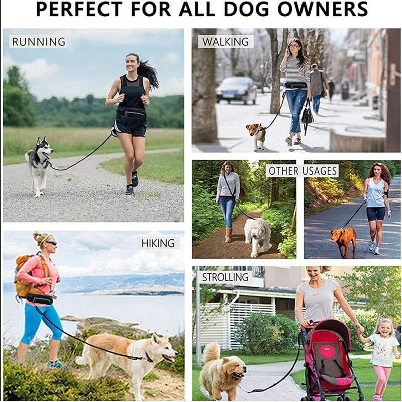 Hands-Free Dog Leash Belt