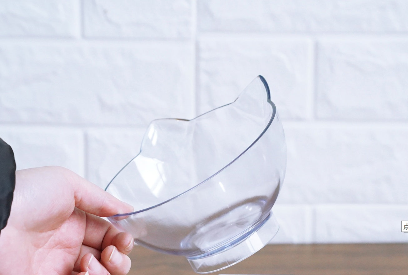 Tilted Dog Bowl with Stand