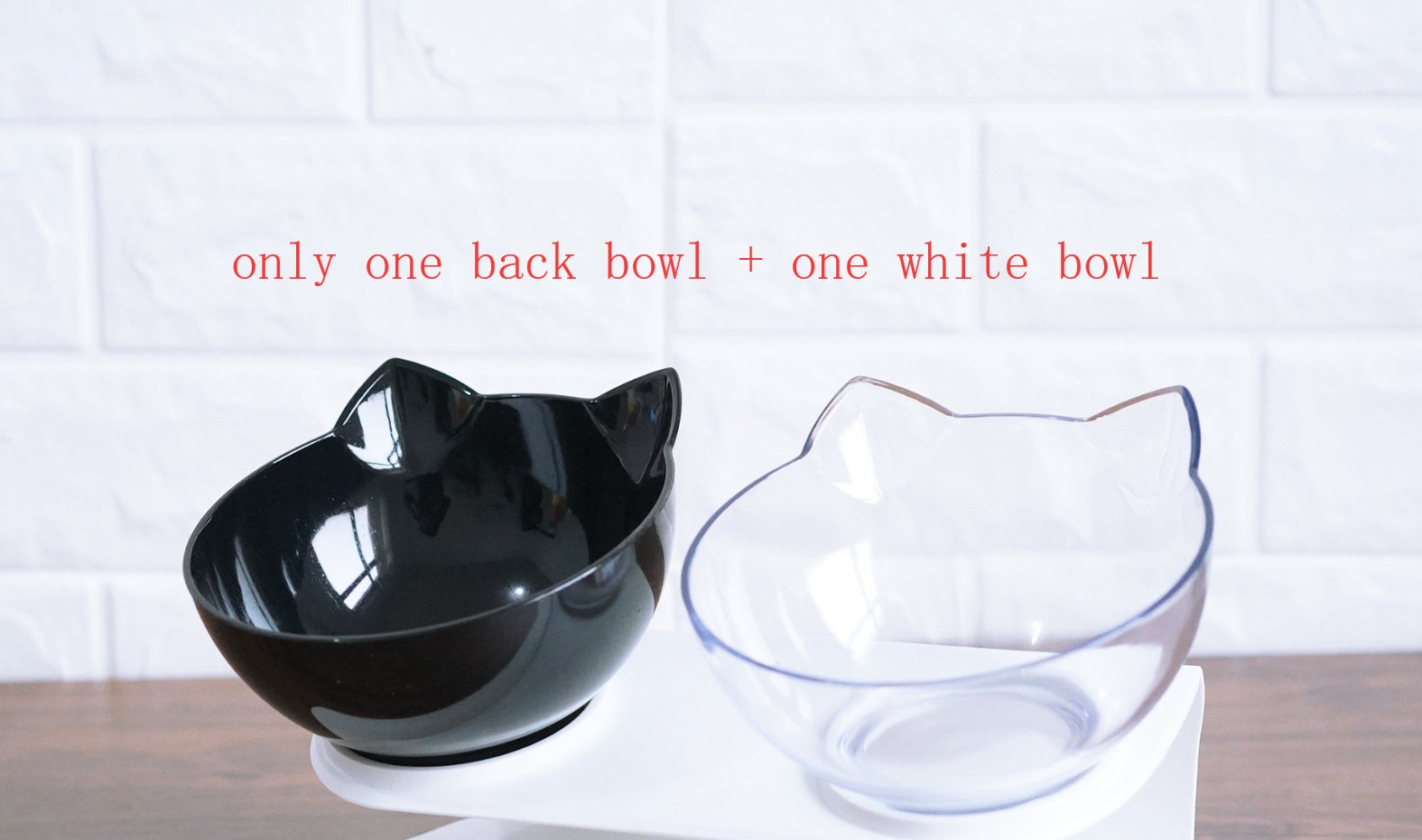 Tilted Dog Bowl with Stand