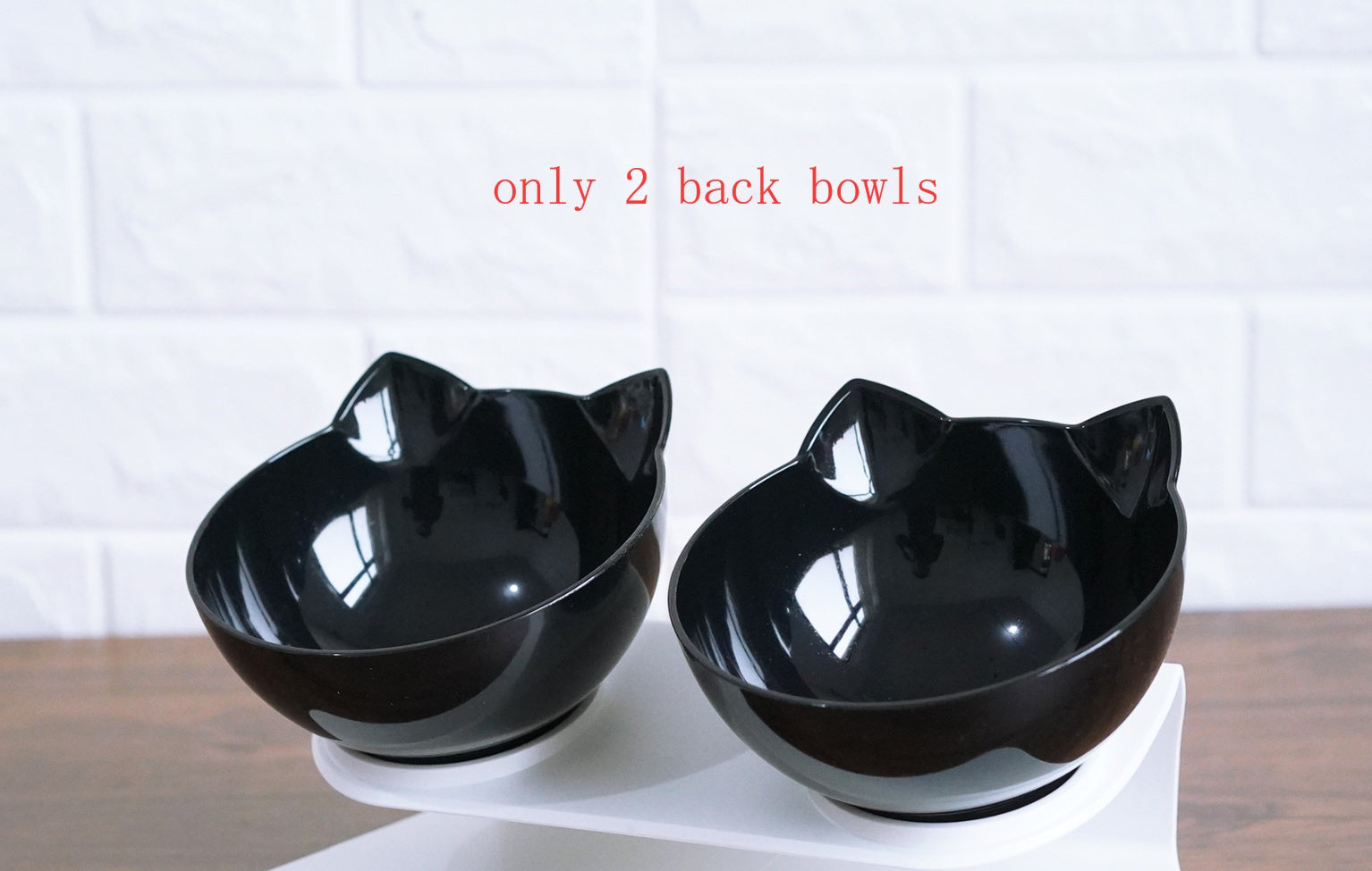 Tilted Dog Bowl with Stand