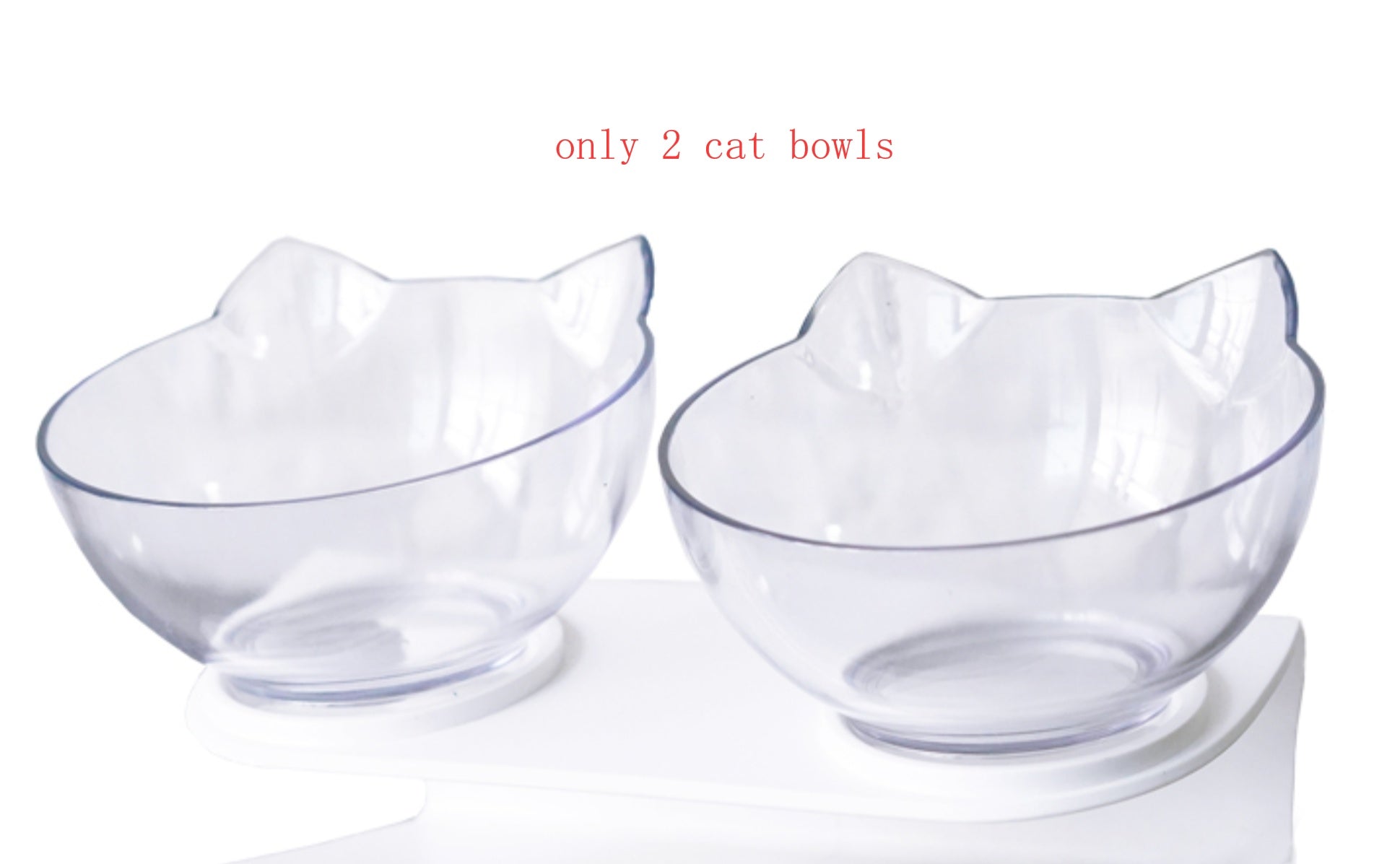 Tilted Dog Bowl with Stand