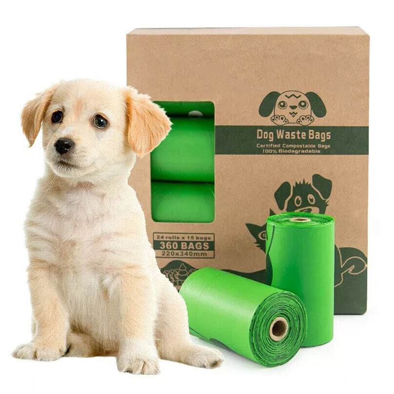 Biodegradable Bag