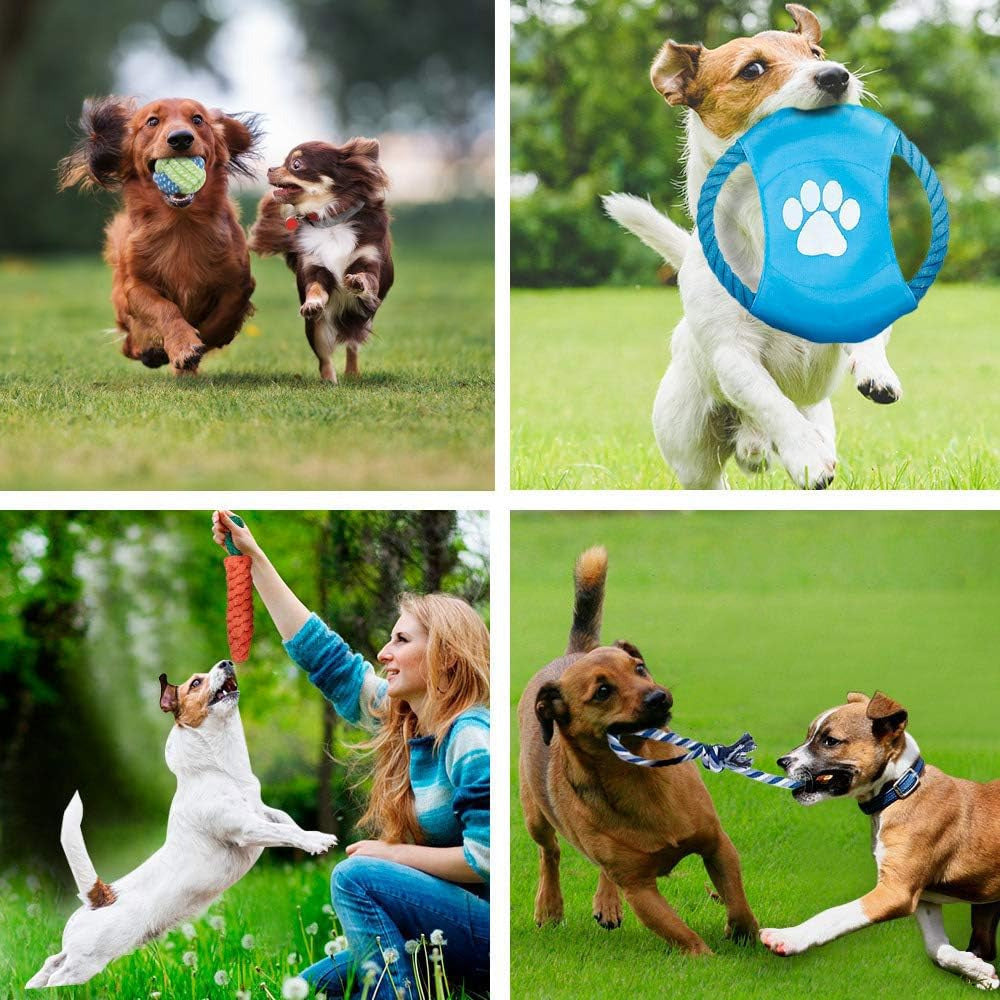 15-in-1 Tough Dog Toy Set