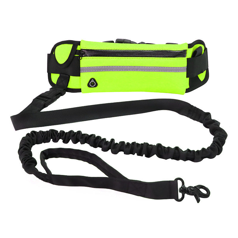 Hands-Free Dog Leash Belt