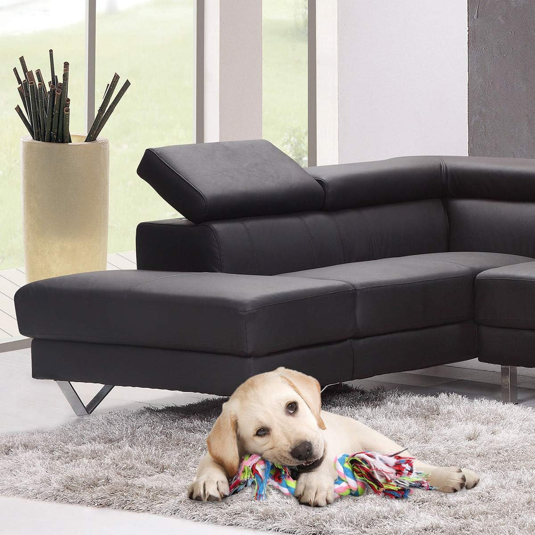 15-in-1 Tough Dog Toy Set