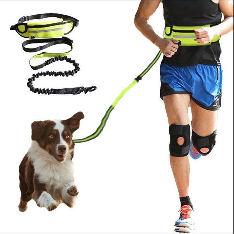 Hands-Free Dog Leash Belt