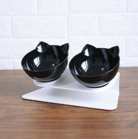 Tilted Dog Bowl with Stand