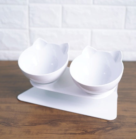 Tilted Dog Bowl with Stand