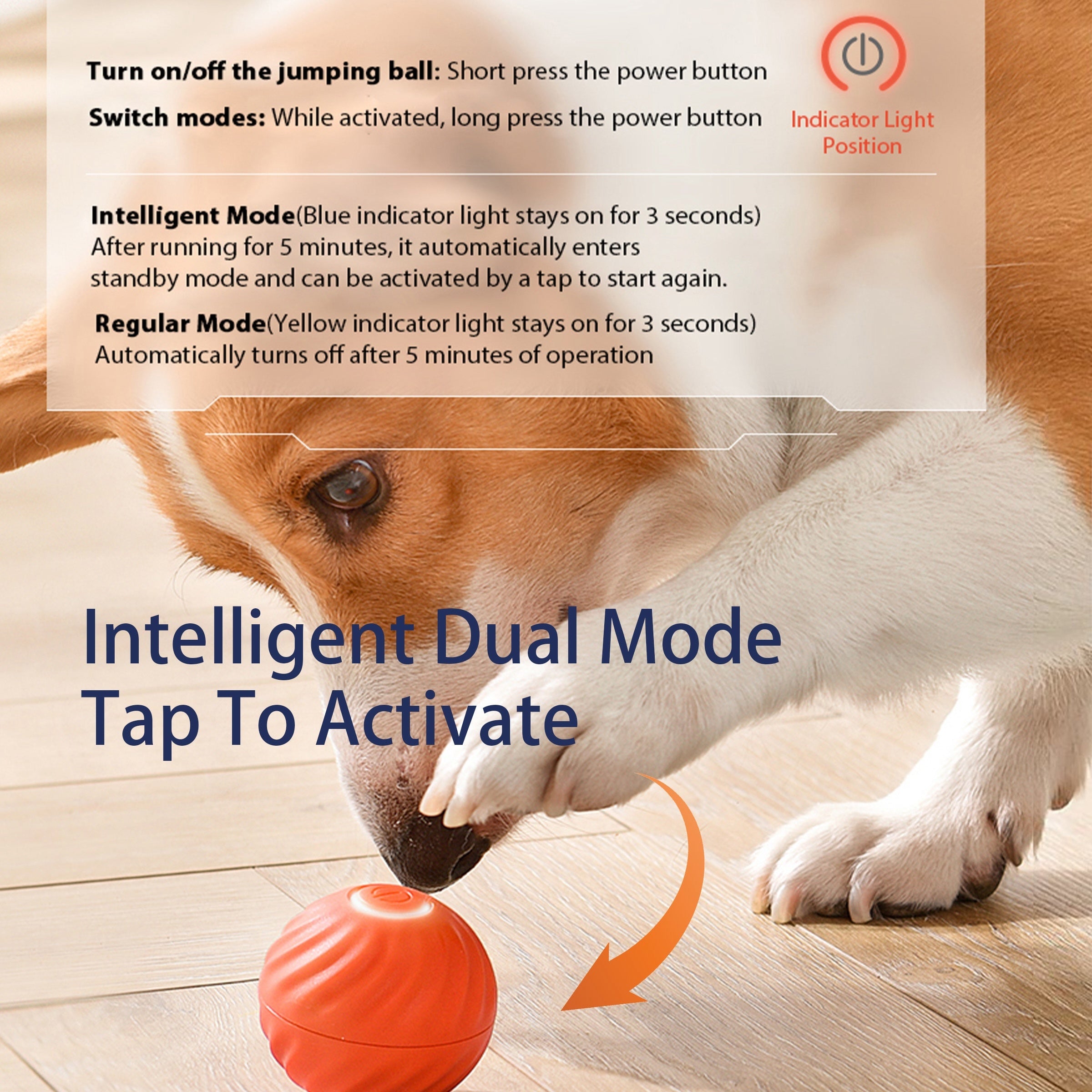 Smart Bouncing Dog Ball