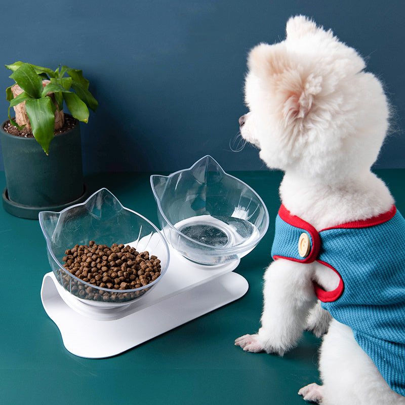 Tilted Dog Bowl with Stand