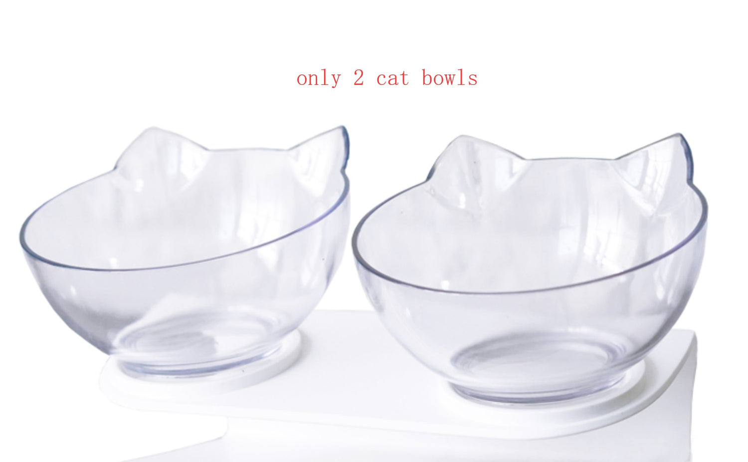 Tilted Dog Bowl with Stand