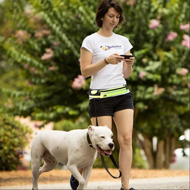 Hands-Free Dog Leash Belt
