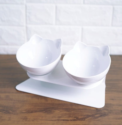 Tilted Dog Bowl with Stand