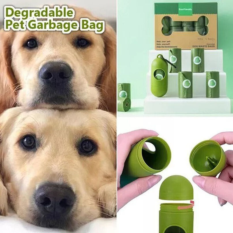 Biodegradable Bag
